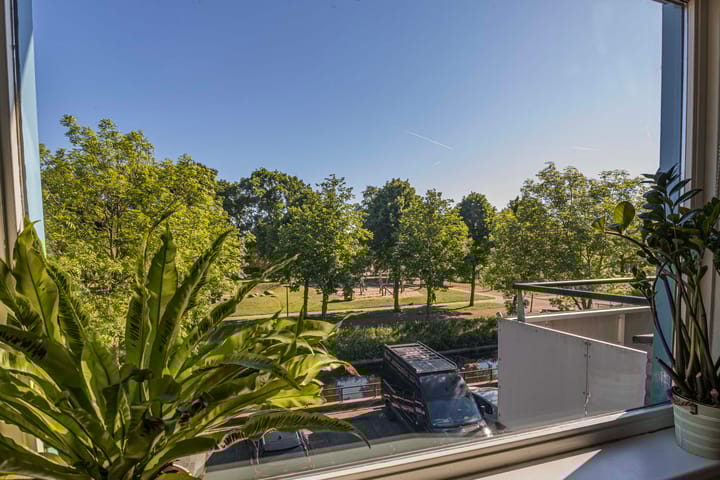 Foto 4 van Weegbree 56