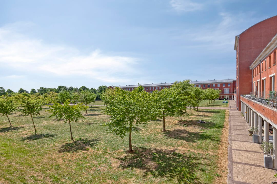 Photo 16 of Lentepark 86