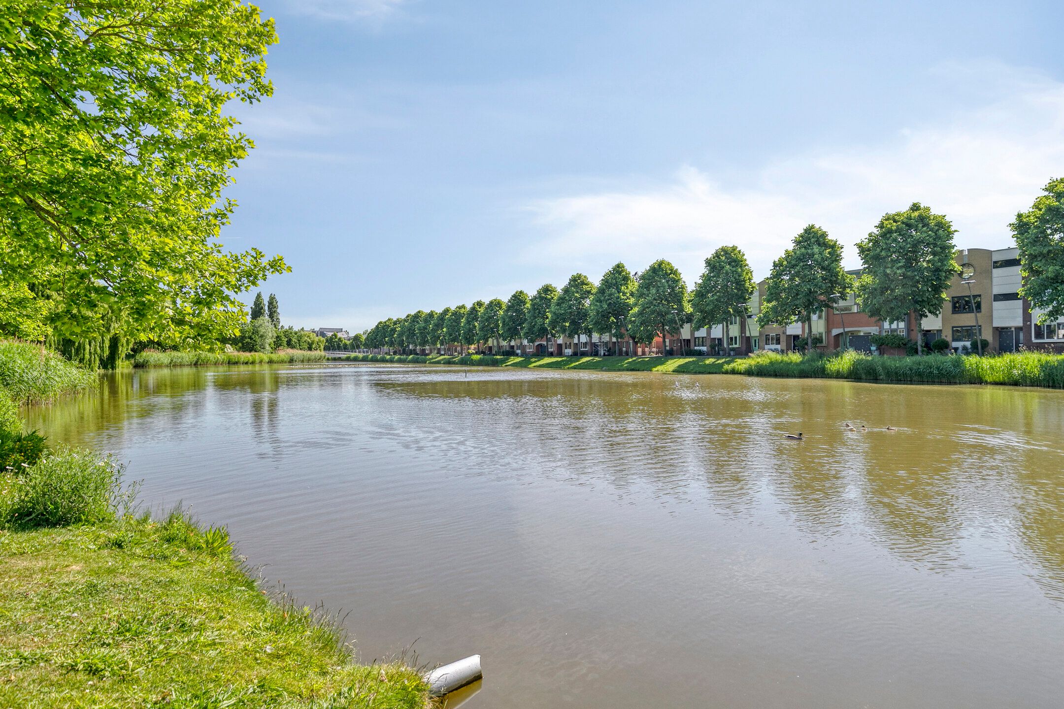 Photo 27 of Lentepark 86