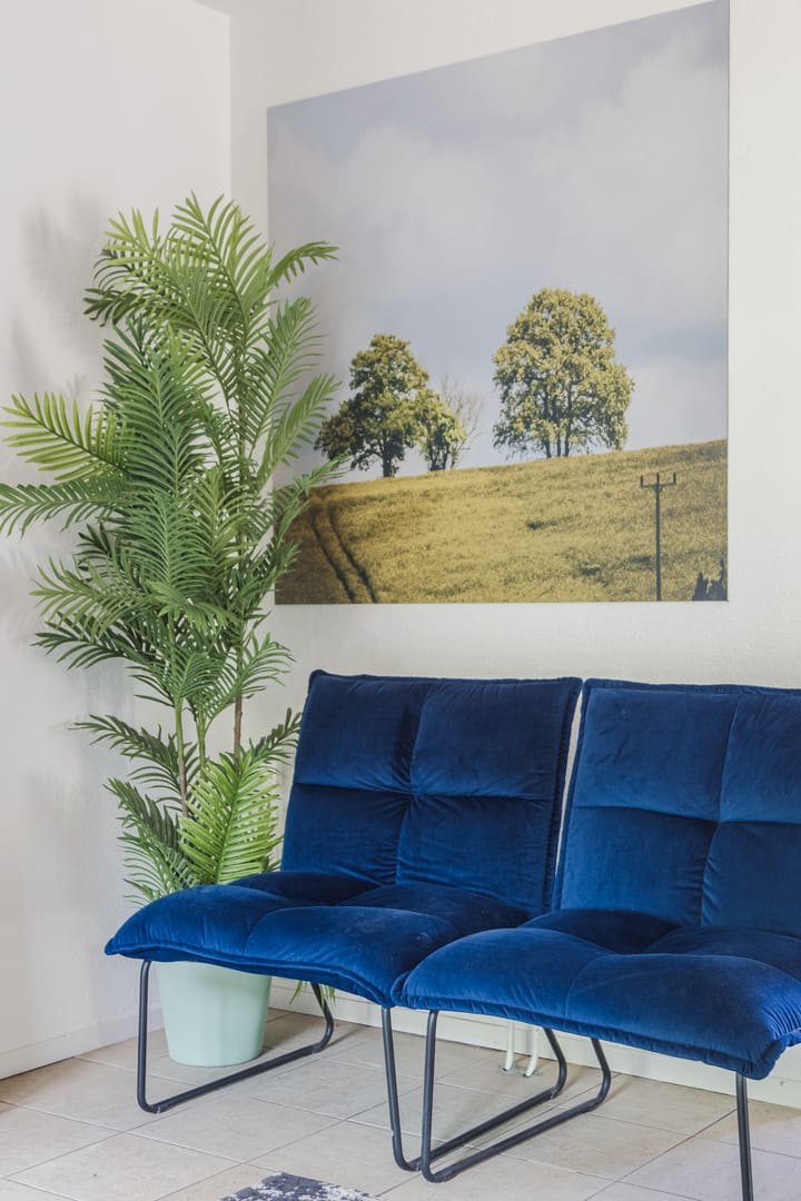 Foto 10 van Groene Heuvels 185