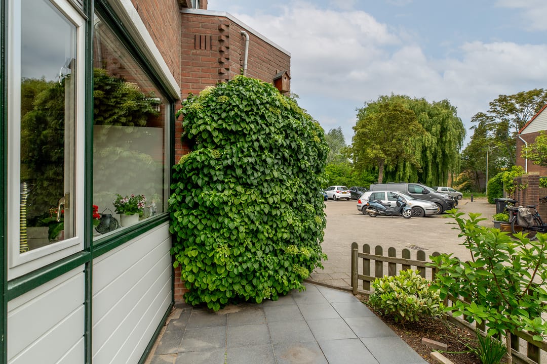 Photo 32 of Esdoornlaan 26