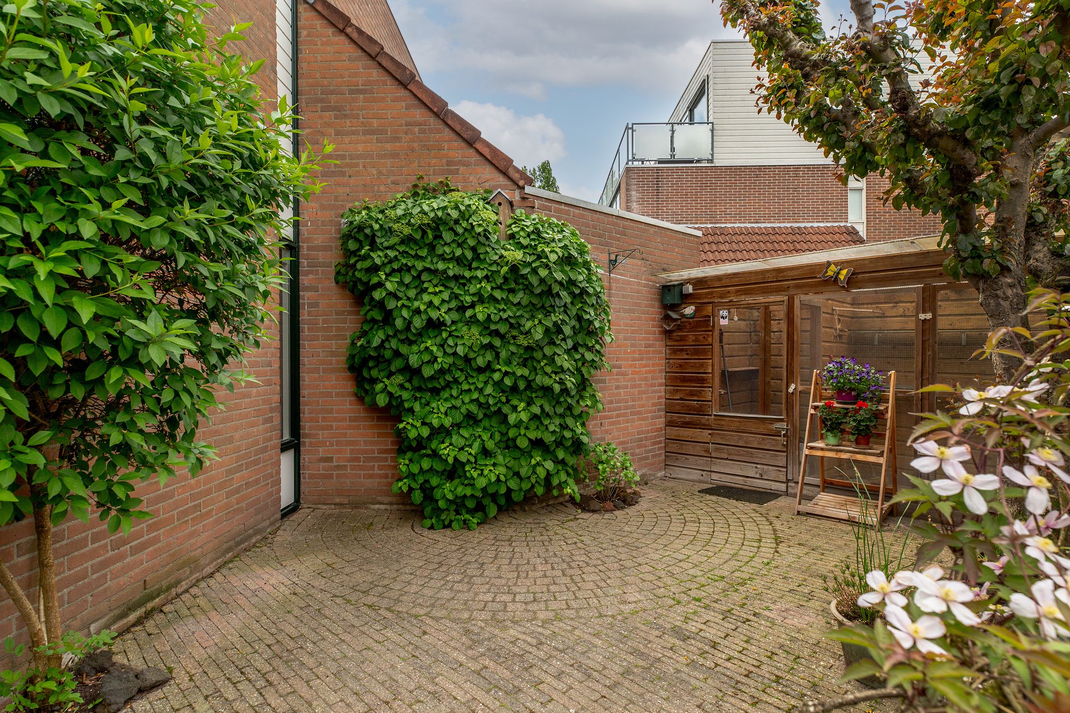 Photo 33 of Esdoornlaan 26