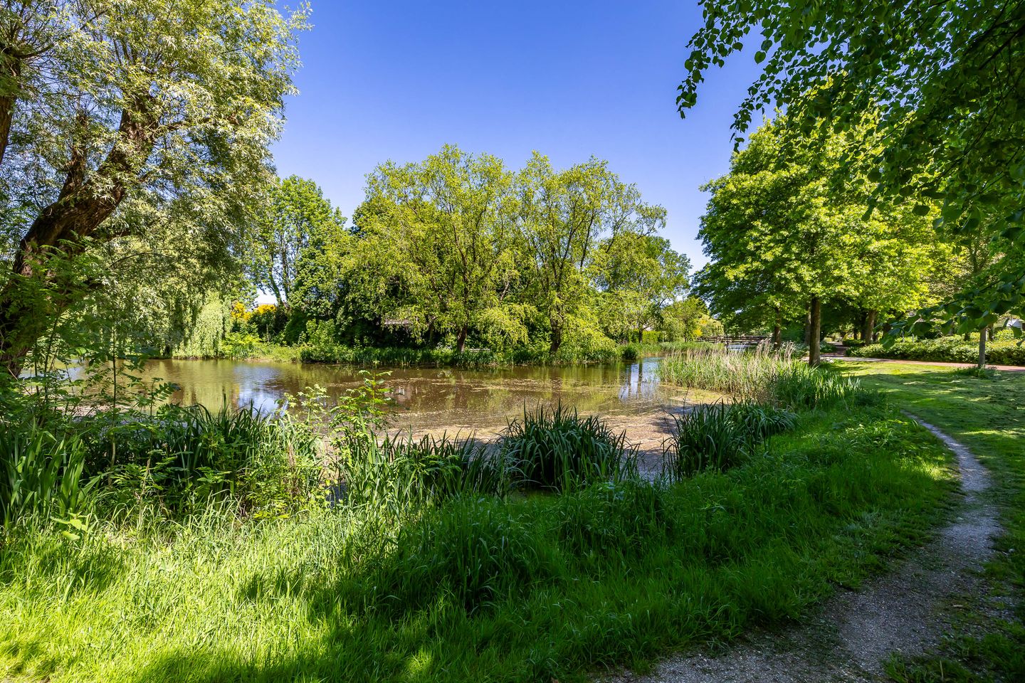 Photo 4 of Nico Rostlaan 13