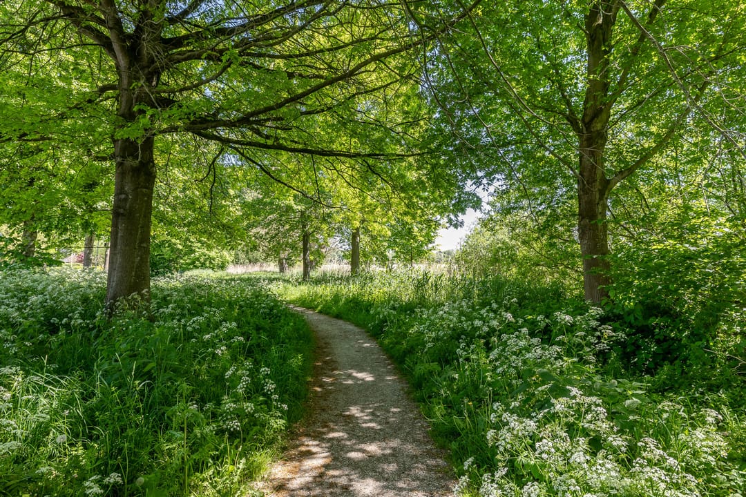 Photo 7 of Nico Rostlaan 13