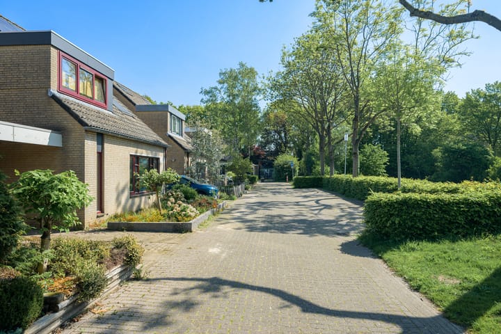 Foto 42 van Iepenbroek 16