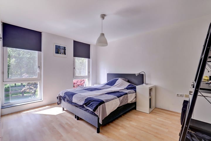 Foto 18 van Ruijgenhoeksepolder 10