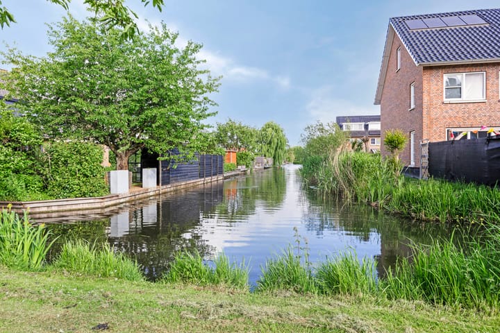 Foto 30 van Waterlelie 15