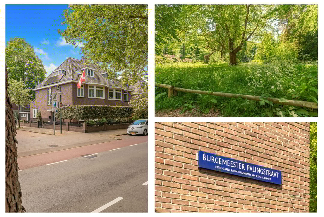 Foto 2 van Burgemeester Palingstraat 2