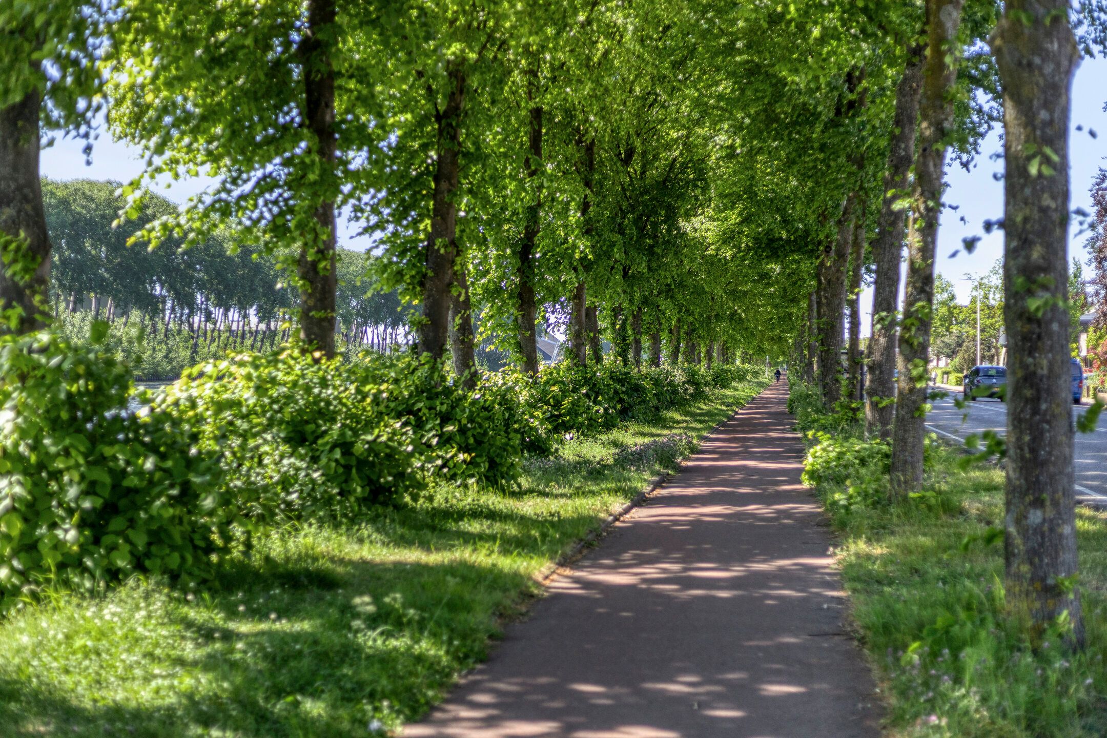 Foto 39 van Amsterdamsestraatweg 849