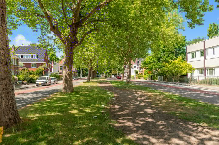 Photo 59 of Burgemeester Palingstraat 2