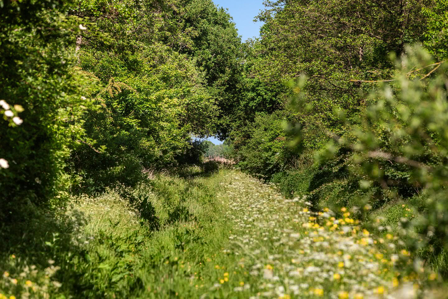 Foto 74 van Boumare 158