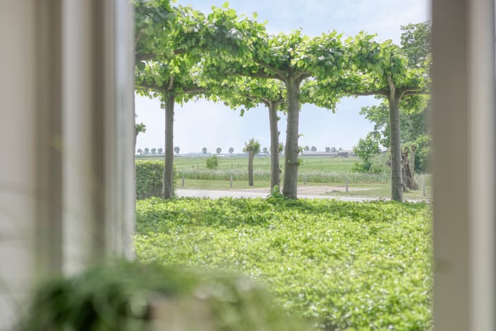 Foto 13 van Meester van Coothstraat 21