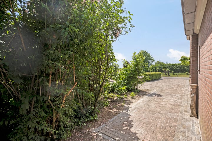 Foto 29 van Meester van Coothstraat 21