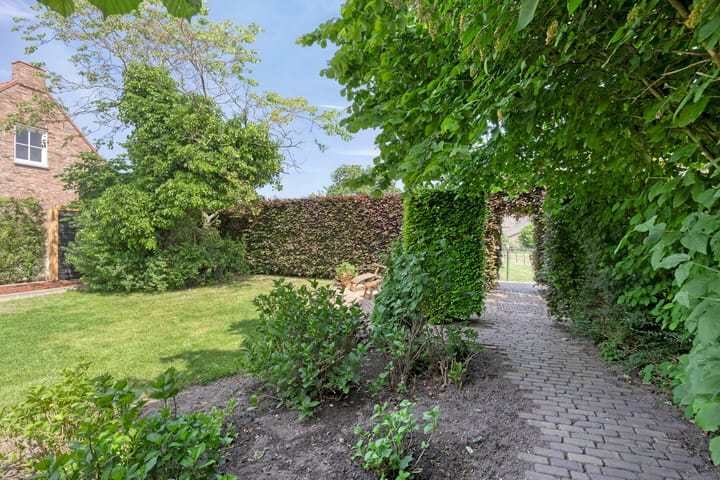 Foto 32 van Meester van Coothstraat 21