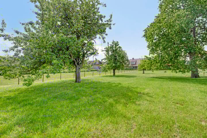 Foto 41 van Meester van Coothstraat 21