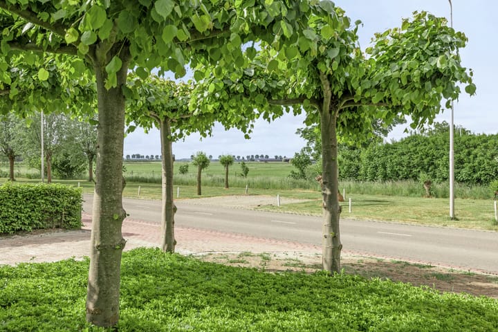 Foto 61 van Meester van Coothstraat 21