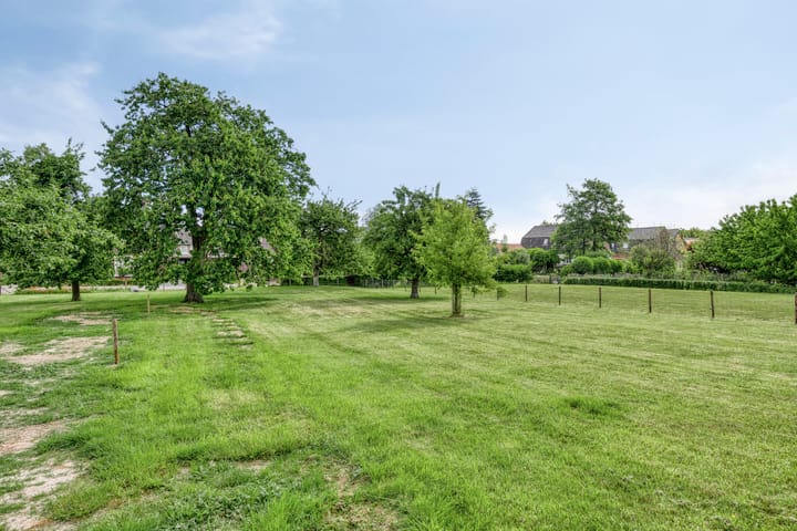 Foto 63 van Meester van Coothstraat 21