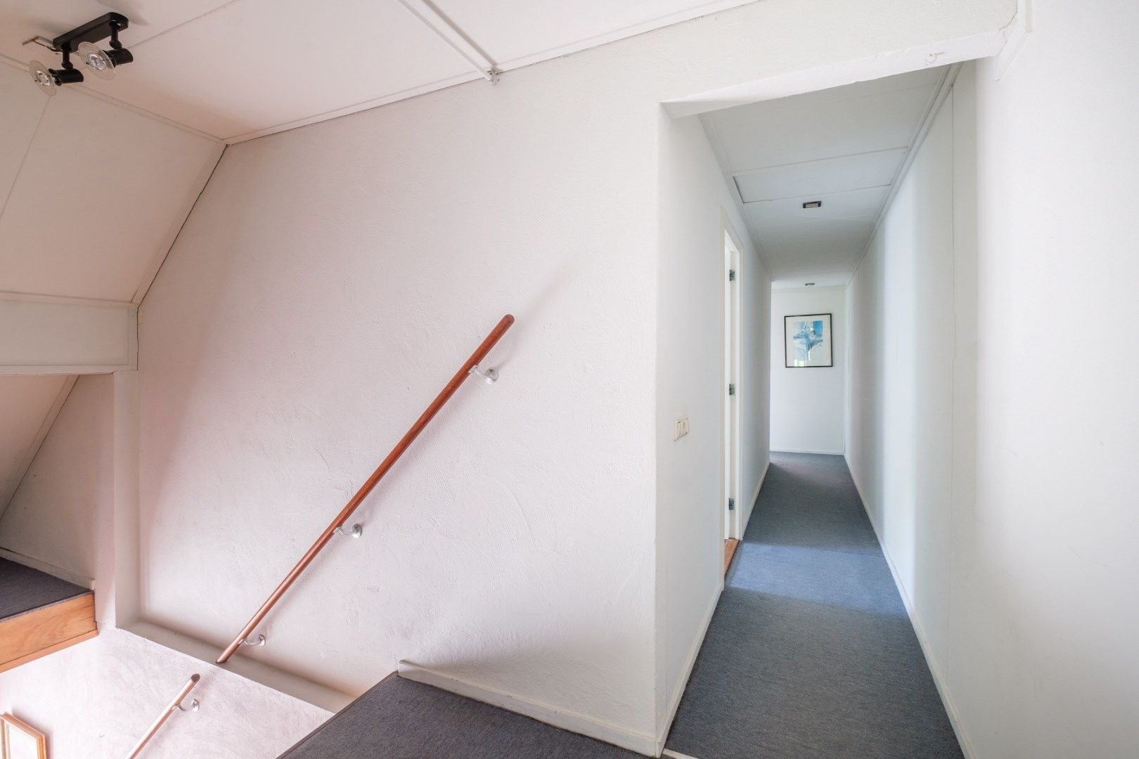 Foto 21 van Rollecate 22