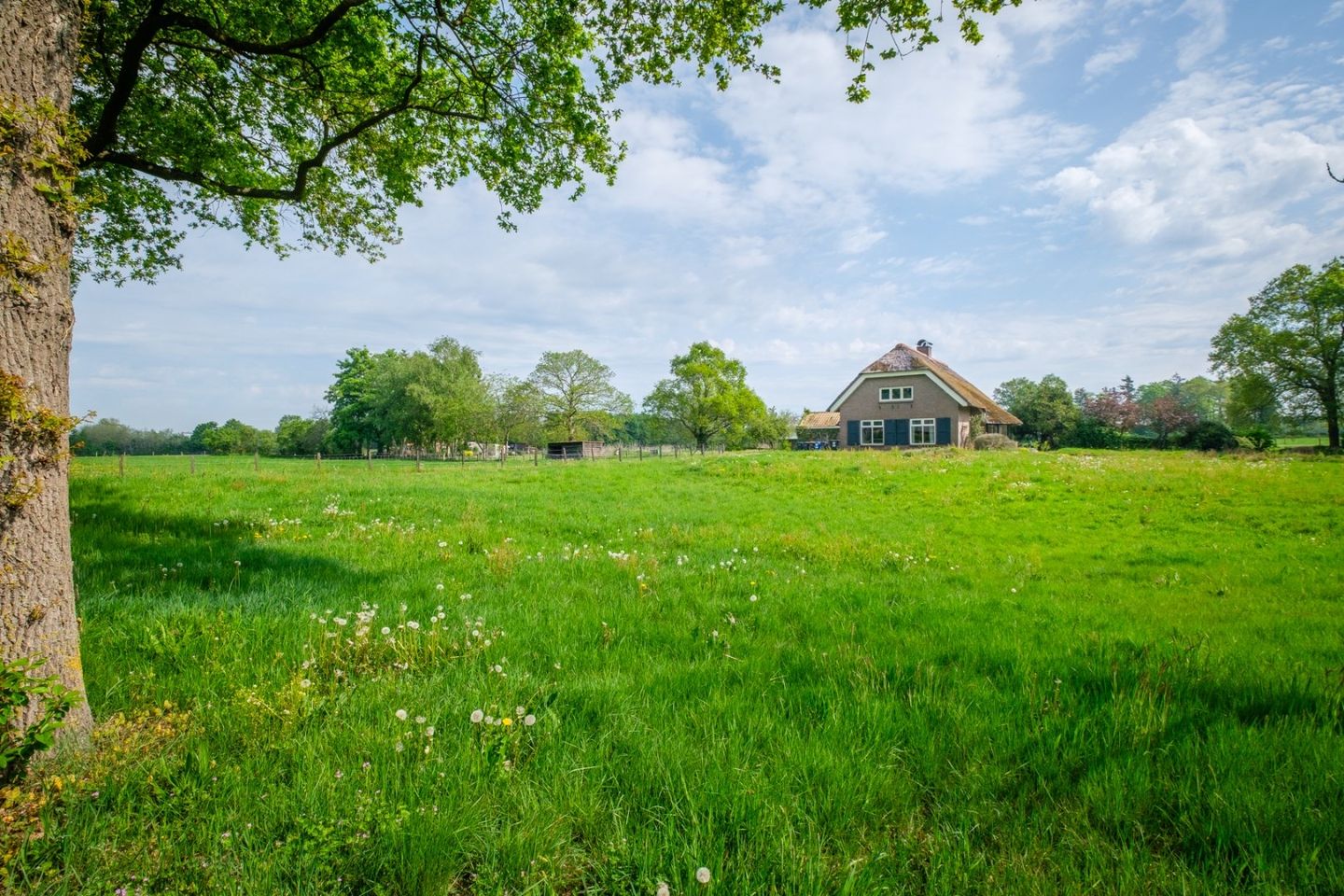 Foto 1 van Steenakkers 2-B