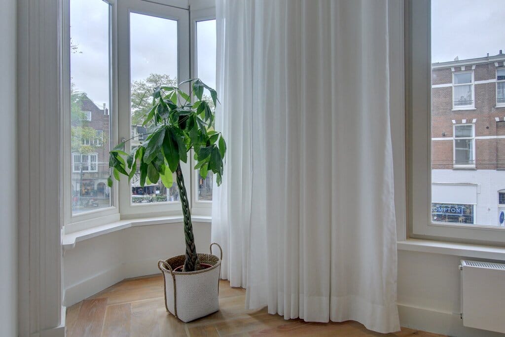 Foto 10 van Willemsparkweg 170-1