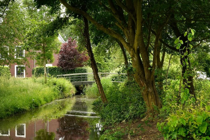 Foto 31 van Klaproos 65