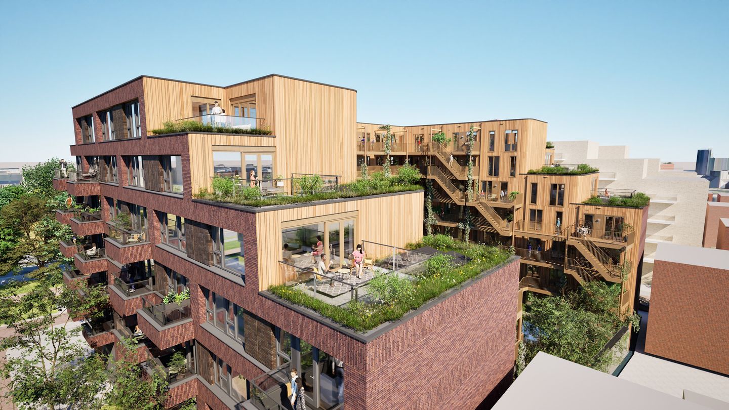 Photo 11 of Circulus