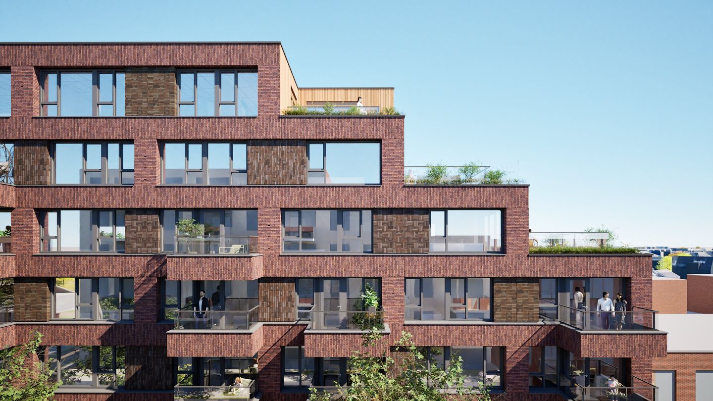 Photo 13 of Circulus