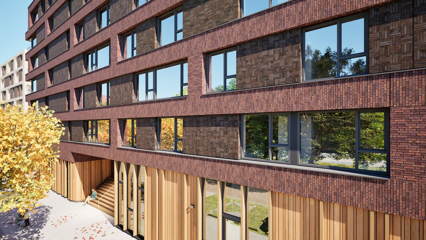 Photo 15 of Circulus