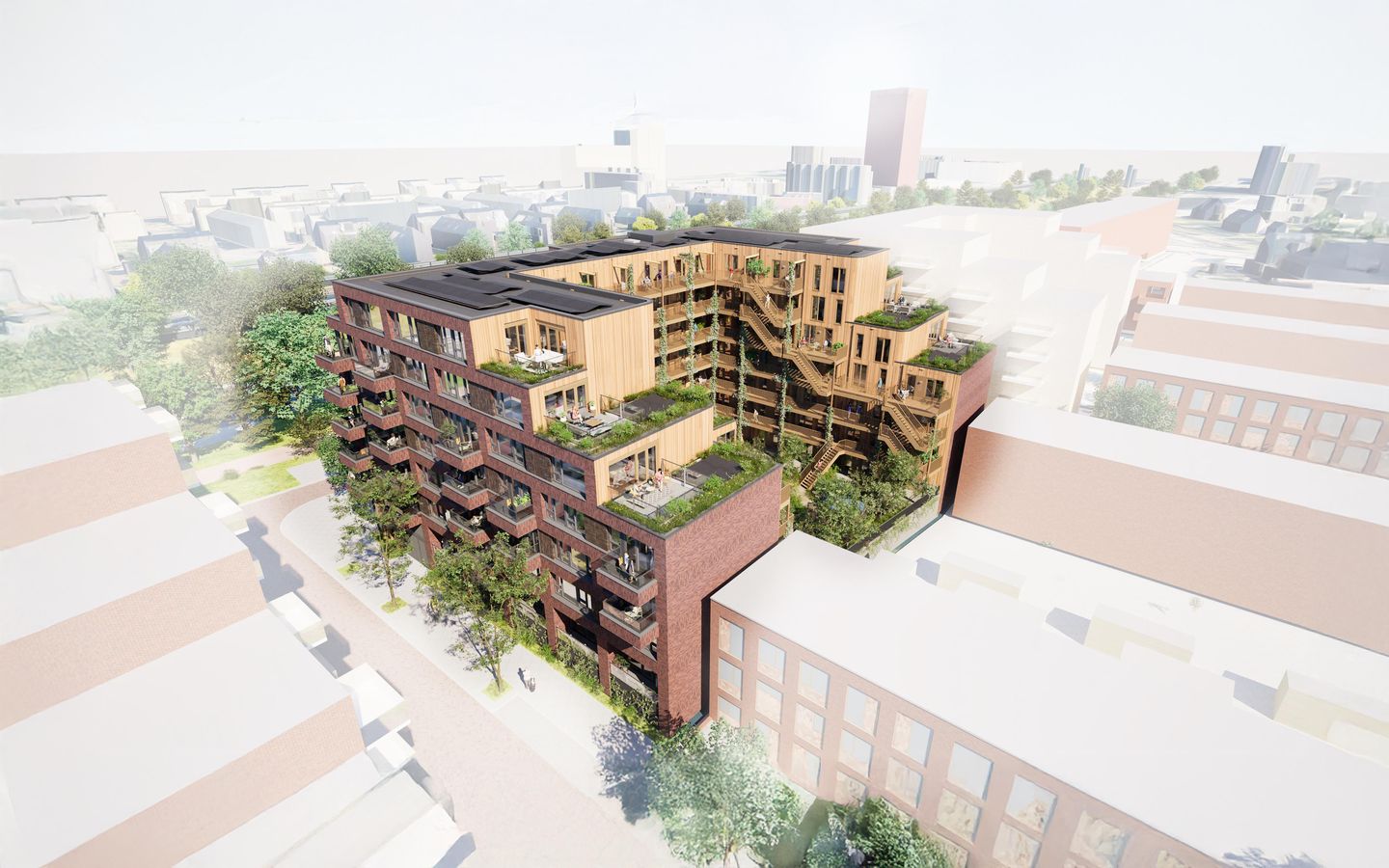 Photo 16 of Circulus