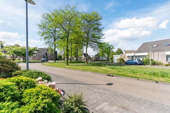 Foto 4 van Torenvalk 1