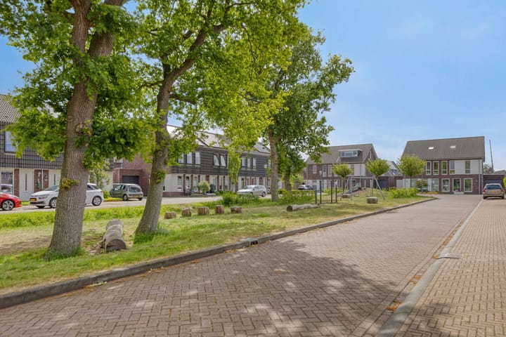 Foto 43 van Kersenboom 18