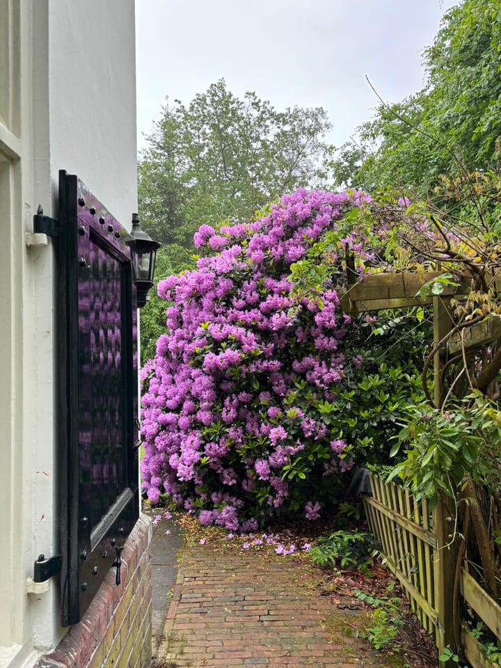 Photo 13 of Soestdijkerstraatweg 153