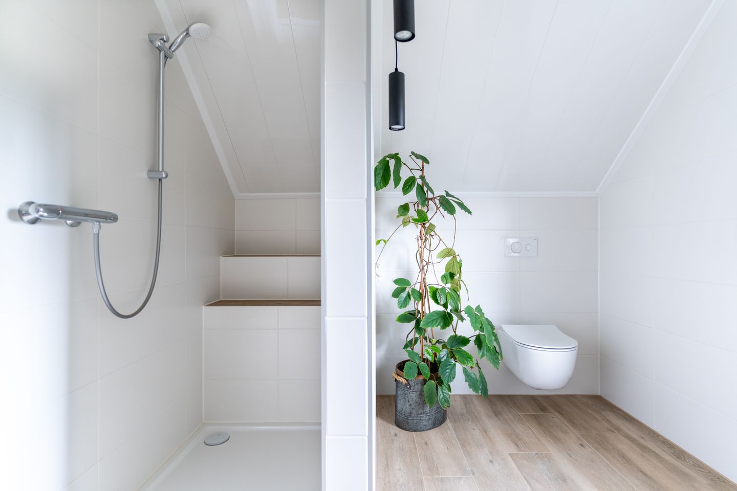 Foto 50 van Koestraat 17