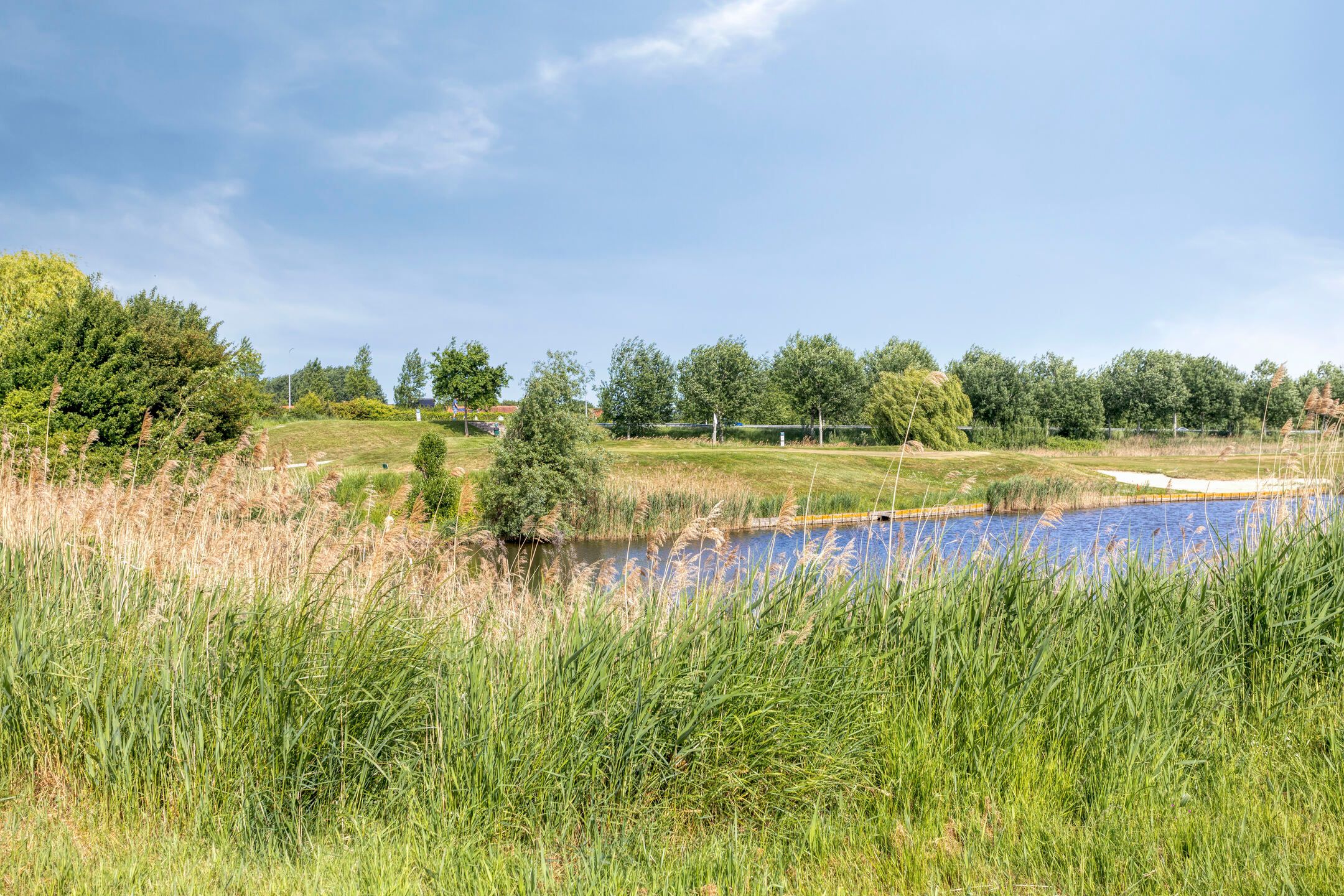 Photo 42 of Albert Aylerstraat 4