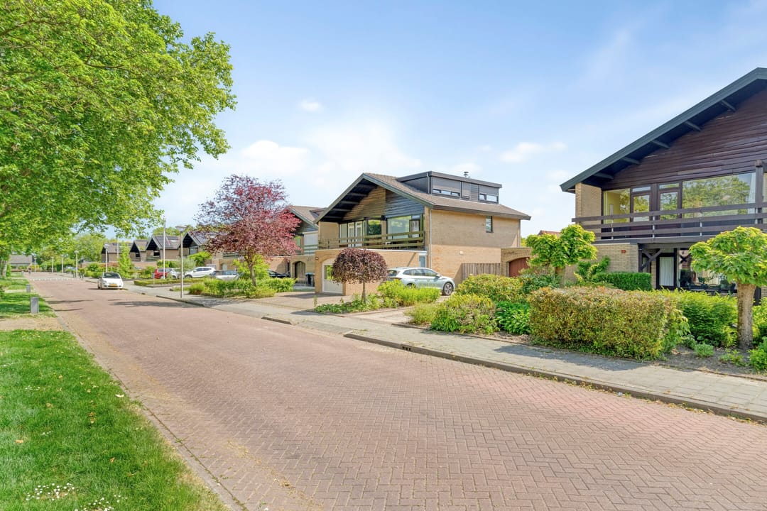 Foto 43 van Johan Frisolaan 29