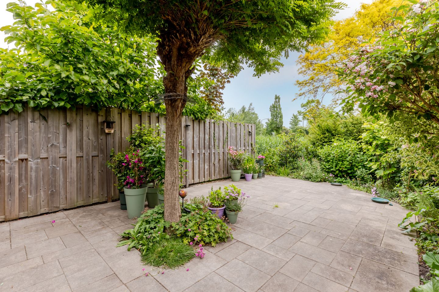 Foto 29 van Geraniumveld 33