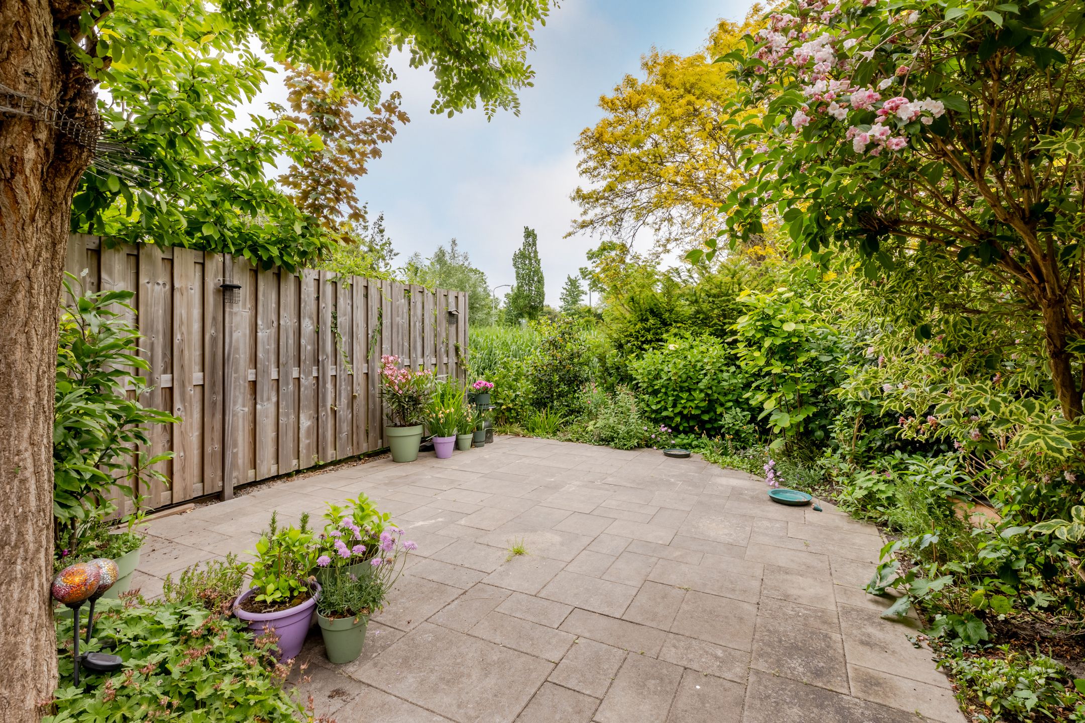 Foto 30 van Geraniumveld 33