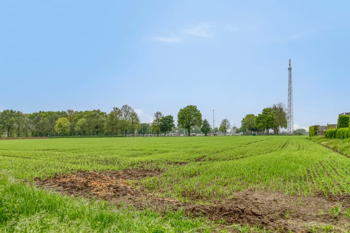 Photo 60 of Bosstraat 35