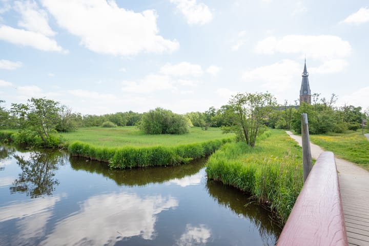 Foto 57 van Pieter Langendijklaan 21