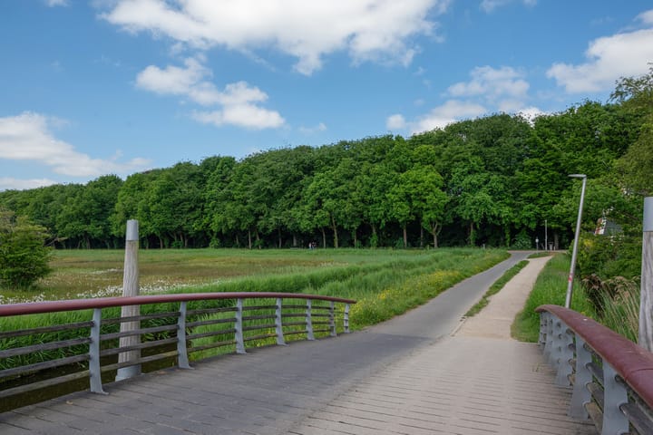 Foto 59 van Pieter Langendijklaan 21