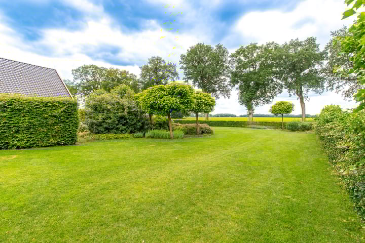 Foto 6 van Borgerderstraat 4