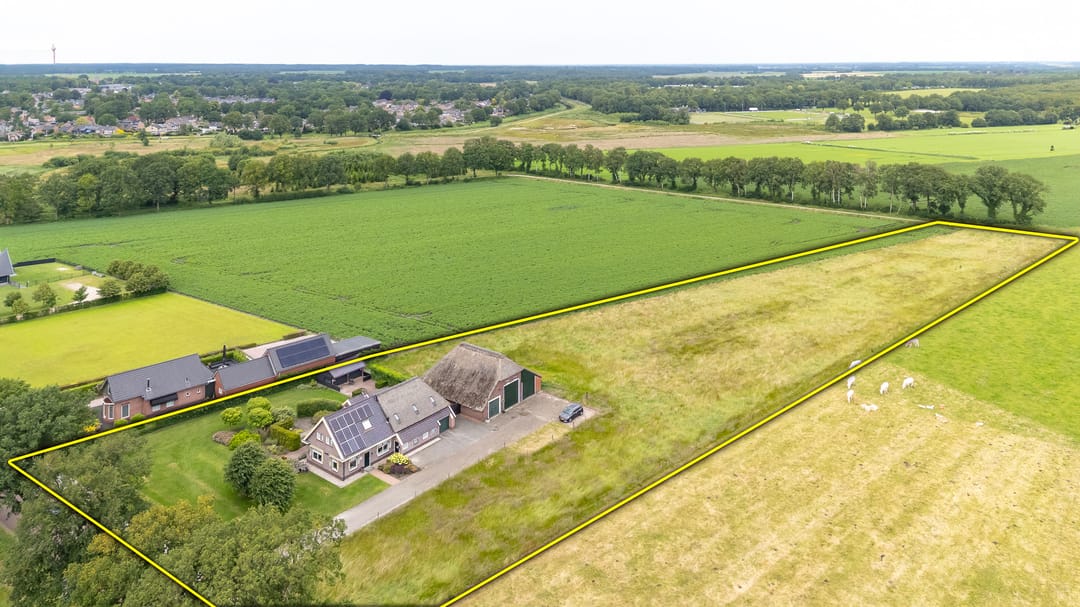 Foto 8 van Borgerderstraat 4