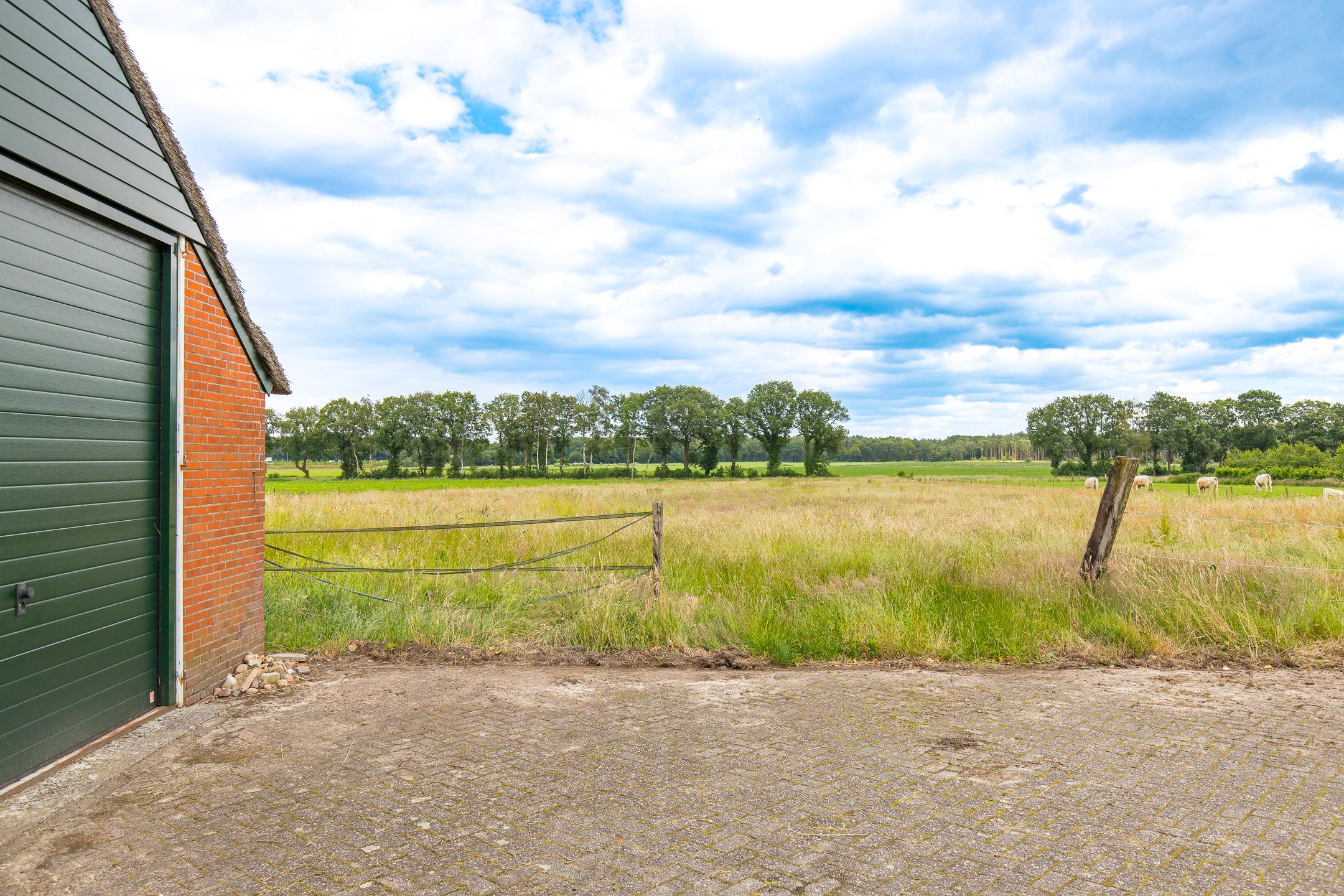 Foto 45 van Borgerderstraat 4