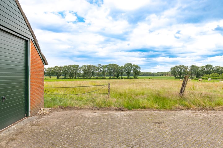 Foto 45 van Borgerderstraat 4