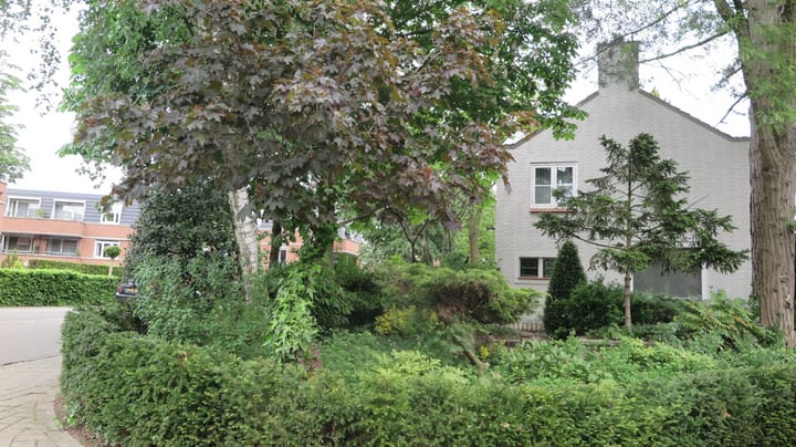 Foto 5 van Lindenstraat 2