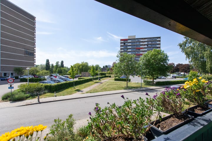 Foto 37 van Aalscholversingel 11