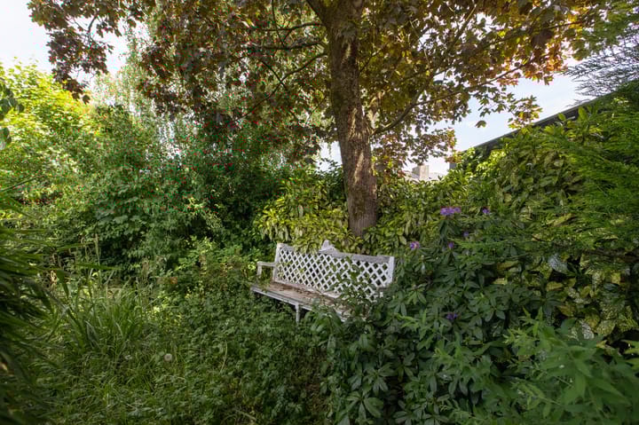 Foto 49 van Aalscholversingel 11