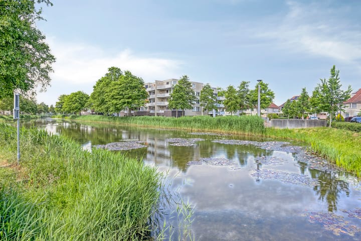 Foto 48 van Pastoor Hoekx-singel 38