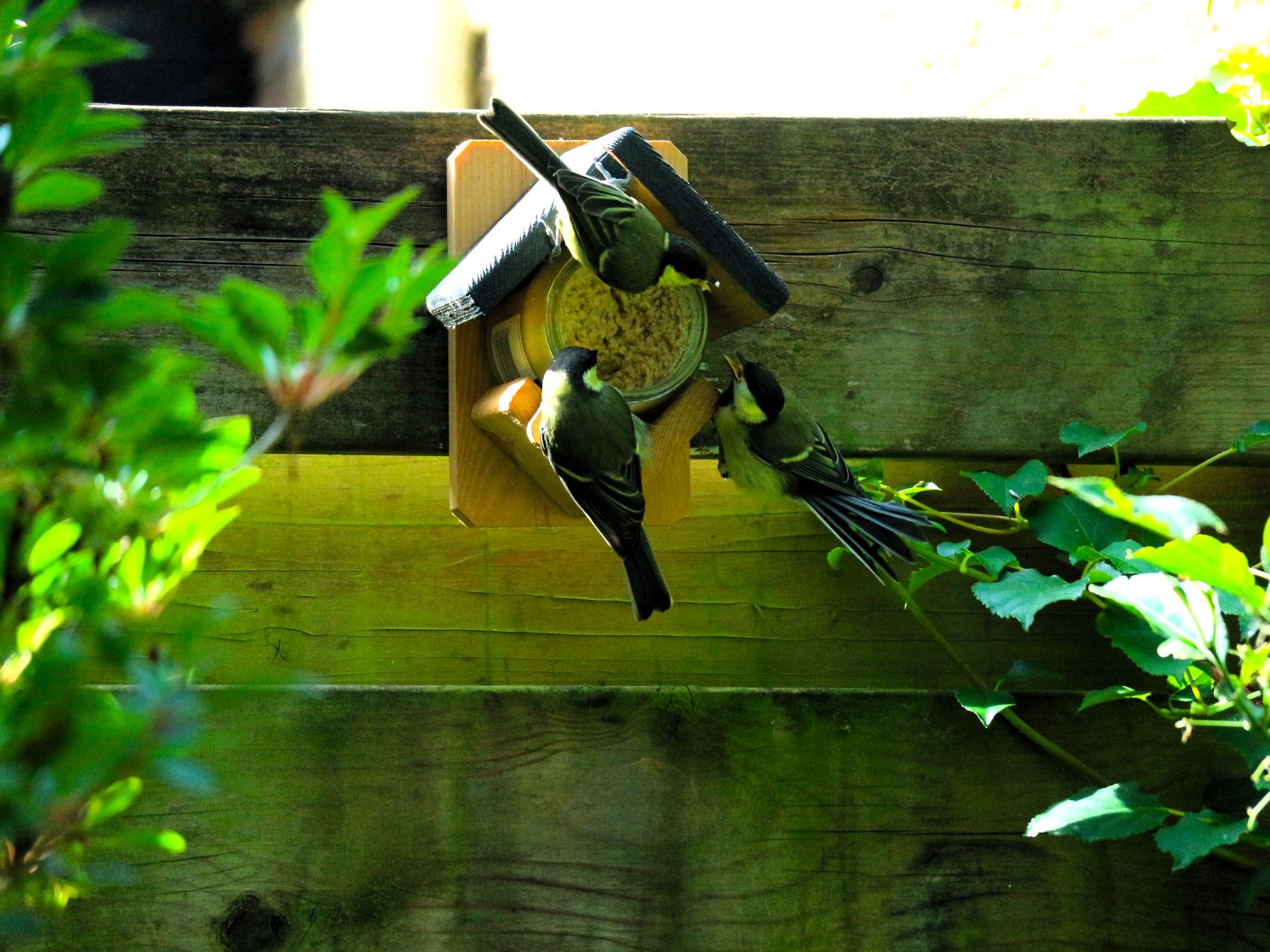 Photo 30 of Hermelijnlaan 3