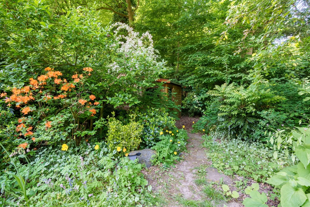 Photo 31 of Hermelijnlaan 3